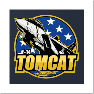 F-14 Tomcat Posters and Art